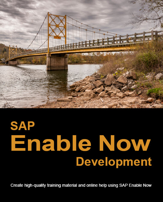 Sap Enable Now Development The Enable Now Expert